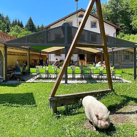 Gasthof Fallmuehle Pfronten Dış mekan fotoğraf