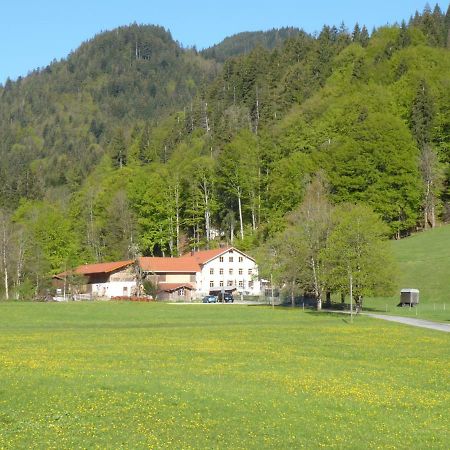 Gasthof Fallmuehle Pfronten Dış mekan fotoğraf