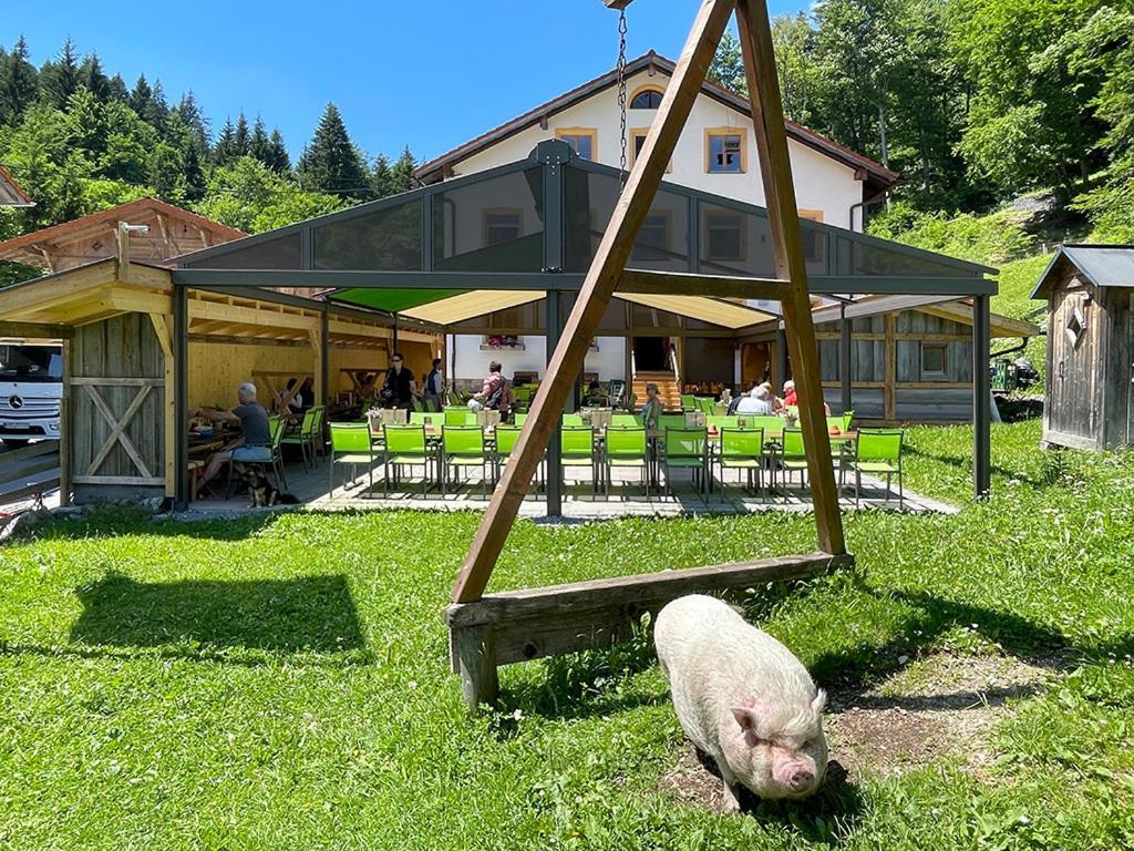 Gasthof Fallmuehle Pfronten Dış mekan fotoğraf