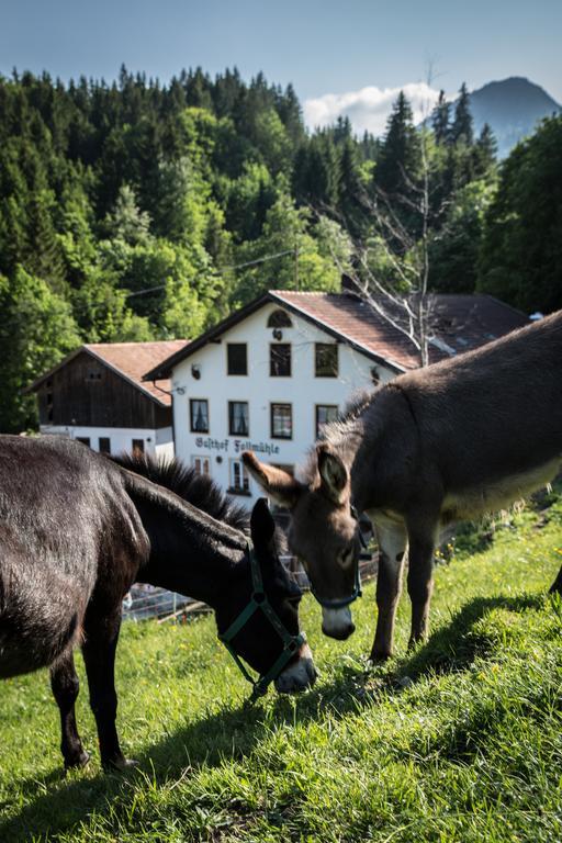 Gasthof Fallmuehle Pfronten Dış mekan fotoğraf