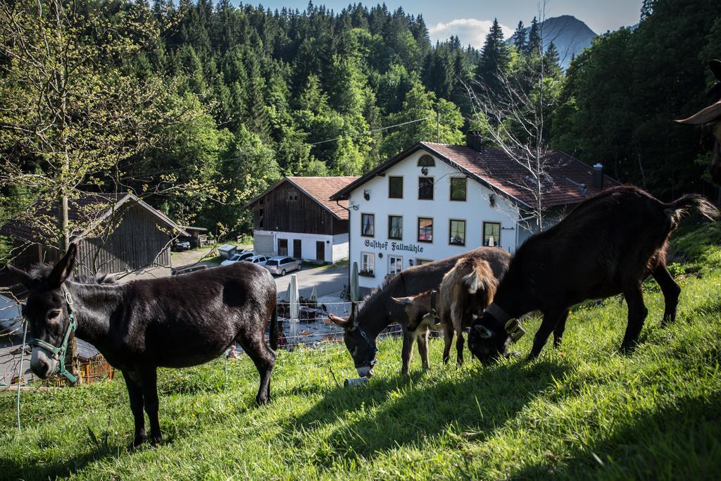 Gasthof Fallmuehle Pfronten Dış mekan fotoğraf