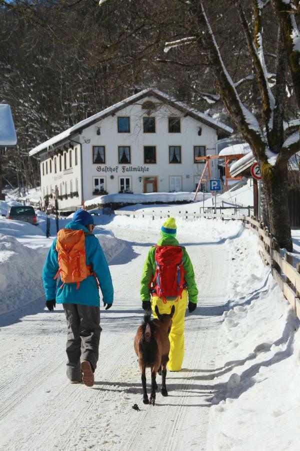 Gasthof Fallmuehle Pfronten Dış mekan fotoğraf